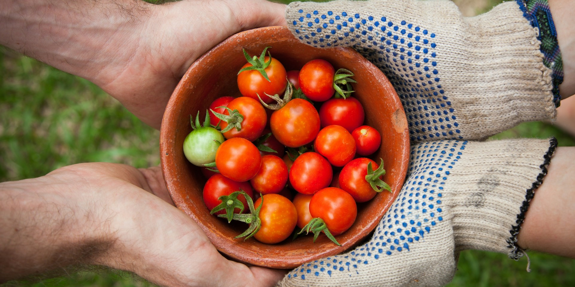 The Benefits of Eating Fresh Produce: A Guide to a Healthier Lifestyle