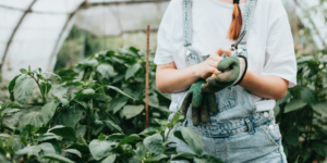 Exploring the Joys of Gardening in Virginia: Tips, Tricks, and Benefits for Green Thumbs