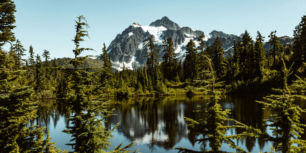 Exploring Virginia’s Majestic Blue Ridge Mountains